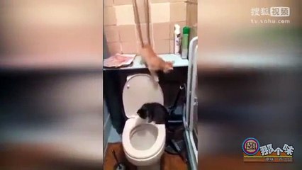 【趣那个味】第155期 美女动作好诱人，在打量谁呢？奇趣搞笑视频混剪恶搞悲剧碉堡傻缺趣味一百