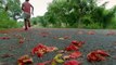 HBO Documentary Films: Marathon Boy Trailer http://BestDramaTv.Net