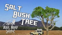 Designer Trees using Salt Bush – Model Railroad Scenery-K0wps1