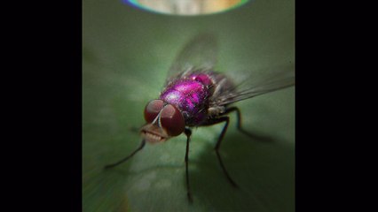 Sebastian Ingrosso - Dark River (Lyric Video)