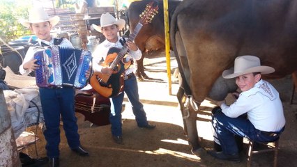 Los Bañales Juniors - El Sube Y Baja