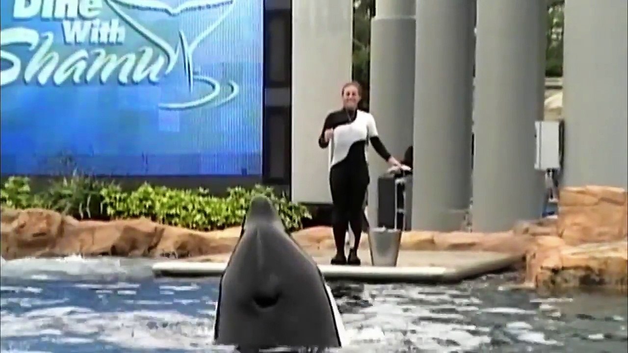 Blackfish Official TRAILER (2013) - Documentary...
