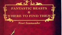 New Harry Potter Movie Fantastic Beasts And Where To Find Them Movie Details And More http://BestDramaTv.Net