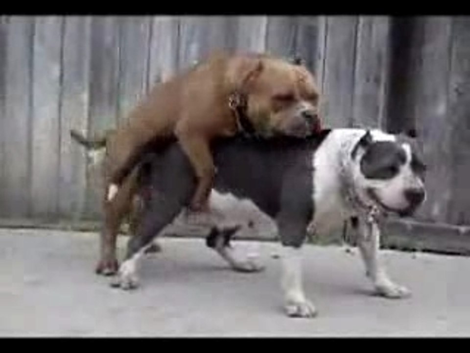 Tendresse