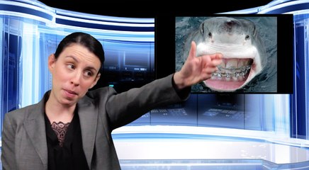 Bad News: Selfie-Ruining Sharks
