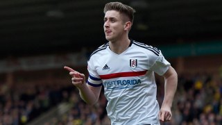 Norwich City 1-3 Fulham || All Goals & Highlights