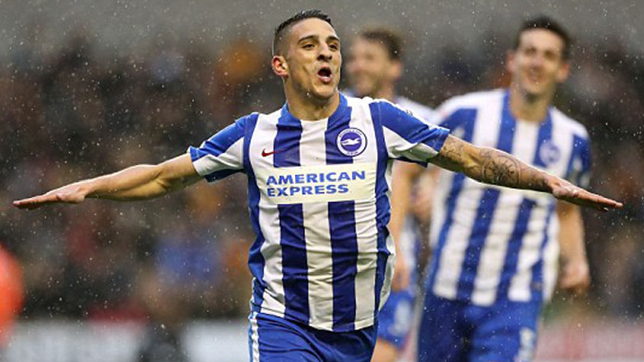 Wolves 0-2 Brighton || All Goals & Highlights