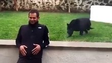 動物奇視：黑豹作勢攻擊，主人一個回萌，太可愛了！