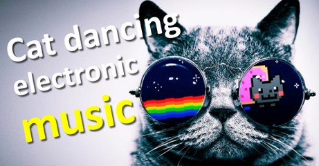 Cats dancing Electronic music - Remix
