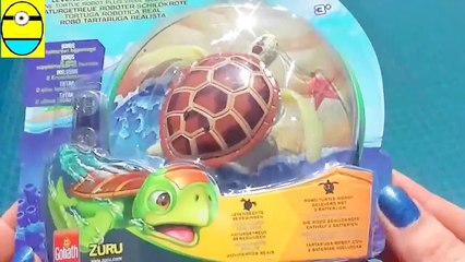 Toys review toys unboxing. R ofofish unboxing toys egg surprise tv channe
