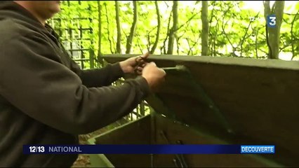 Grandes Eaux de Versailles : dans les coulisses d'une prouesse technique