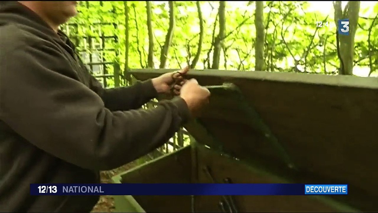 Grandes Eaux de Versailles : dans les coulisses d'une prouesse technique