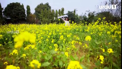 Kesi Ye Paheli - Episode 6 | Urdu1