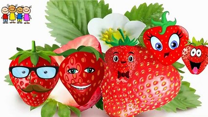 Cartoons for Kids   Cabbage Finger Family Rhymes in English   Family Finger