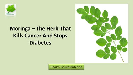 Moringa The Herb That Kills Cancer And Stops Diabetes