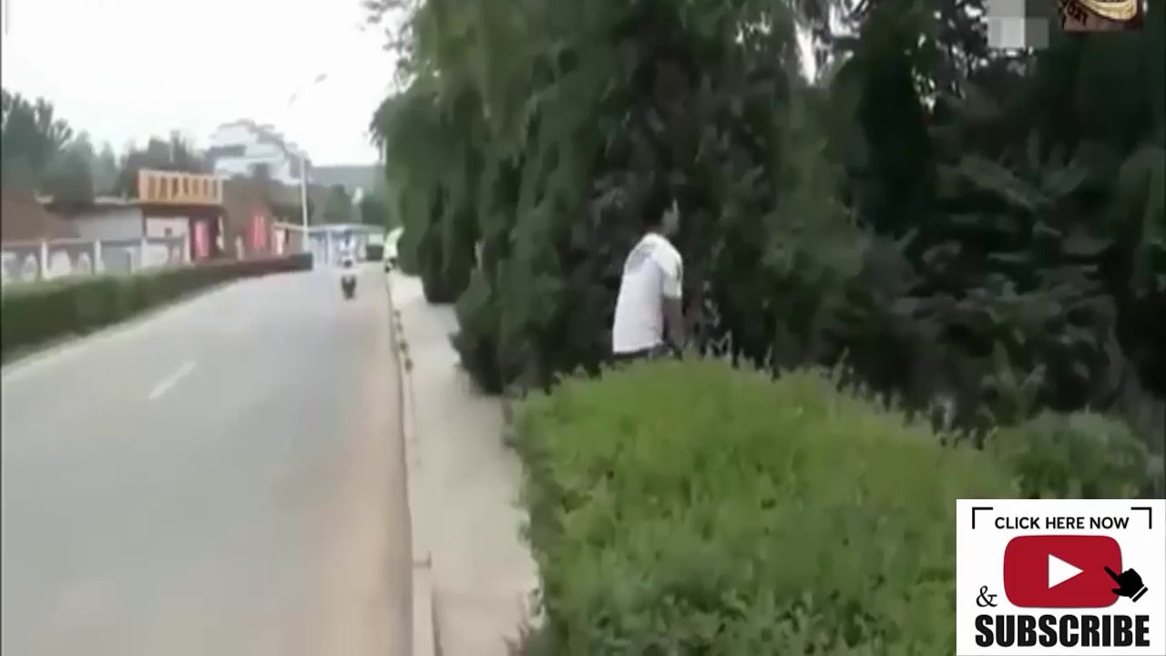 60 Funny Videos 2017 Best Whatsapp Funny Videos