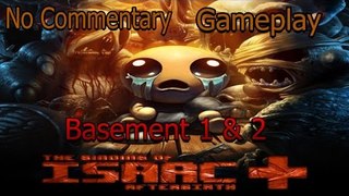 The Binding of Isaac: Afterbirth + Nintendo Switch Gameplay (No Commentary) - Basement 1 & 2