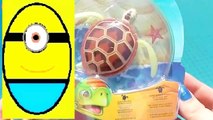 Toys review toys unboxing. Robo turtle. Turtle rsaadsaobot rofofish unboxi