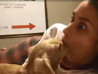 Funniest and most hilarious moments on Earth that can make anyone laugh - Funny