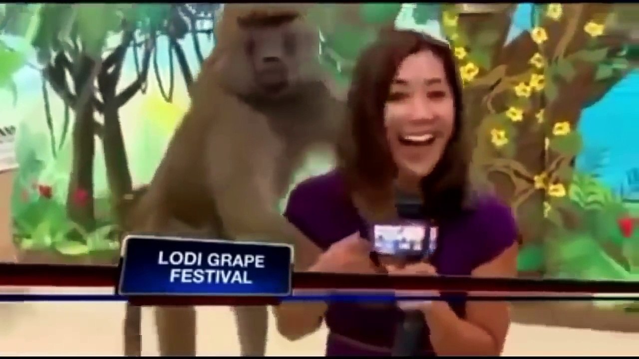 Monkey Playing Girl Boob