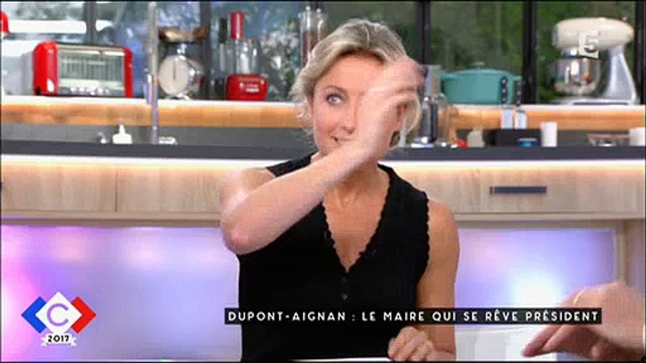 Al Qaida était l'allié de Laurent Fabius ? Nicolas Dupont-Aignan persiste et signe dans "C à vous" - Regardez