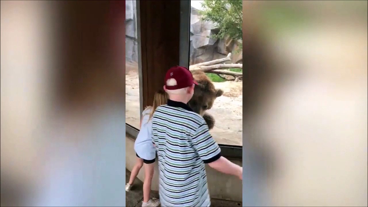 Cette fillette fait un cache-cache avec un ours !
