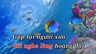 Chỉ Có Bạn Bè Thôi Karaoke HD || Beat Chuẩn || Giọng nữ