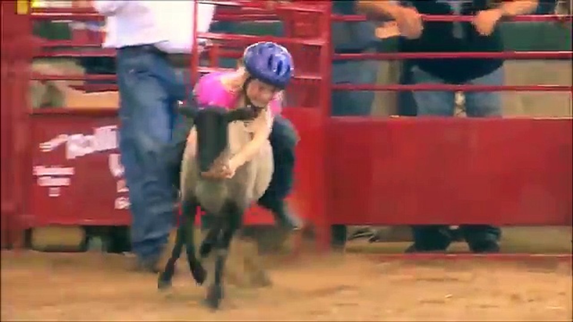 Sheep Race