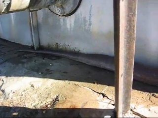 Pazljivo pogledati! Velika zmija...!!!