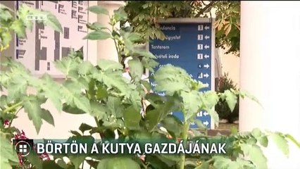 Börtön a kutya gazdájának