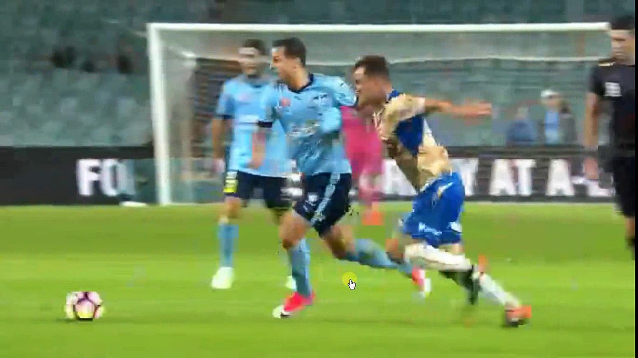 Milos Ninkovic Goal -  Sydney FC vs Newcastle Jets  1-0  15.04.2017 (HD)