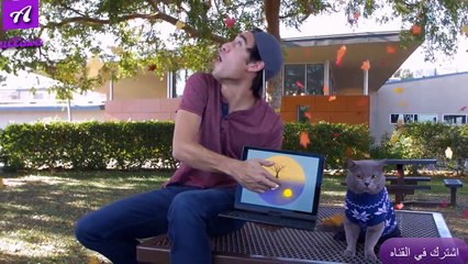 Video Analytics Manager The Best Magic Trick King Tricks (2017)