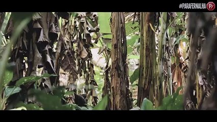 TERCEIRA GUERRA MUNDIAL