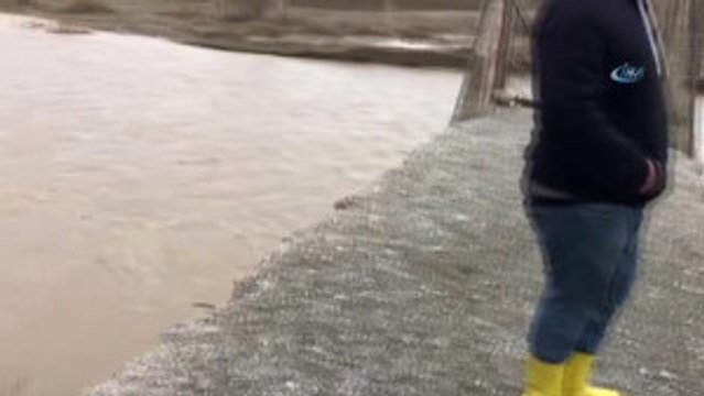 Aras Nehri Karların Erimesi Sonucu Yükseldi