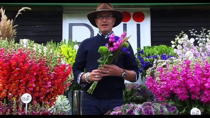 Caroline Plouff - Cut Flower Selling Tips