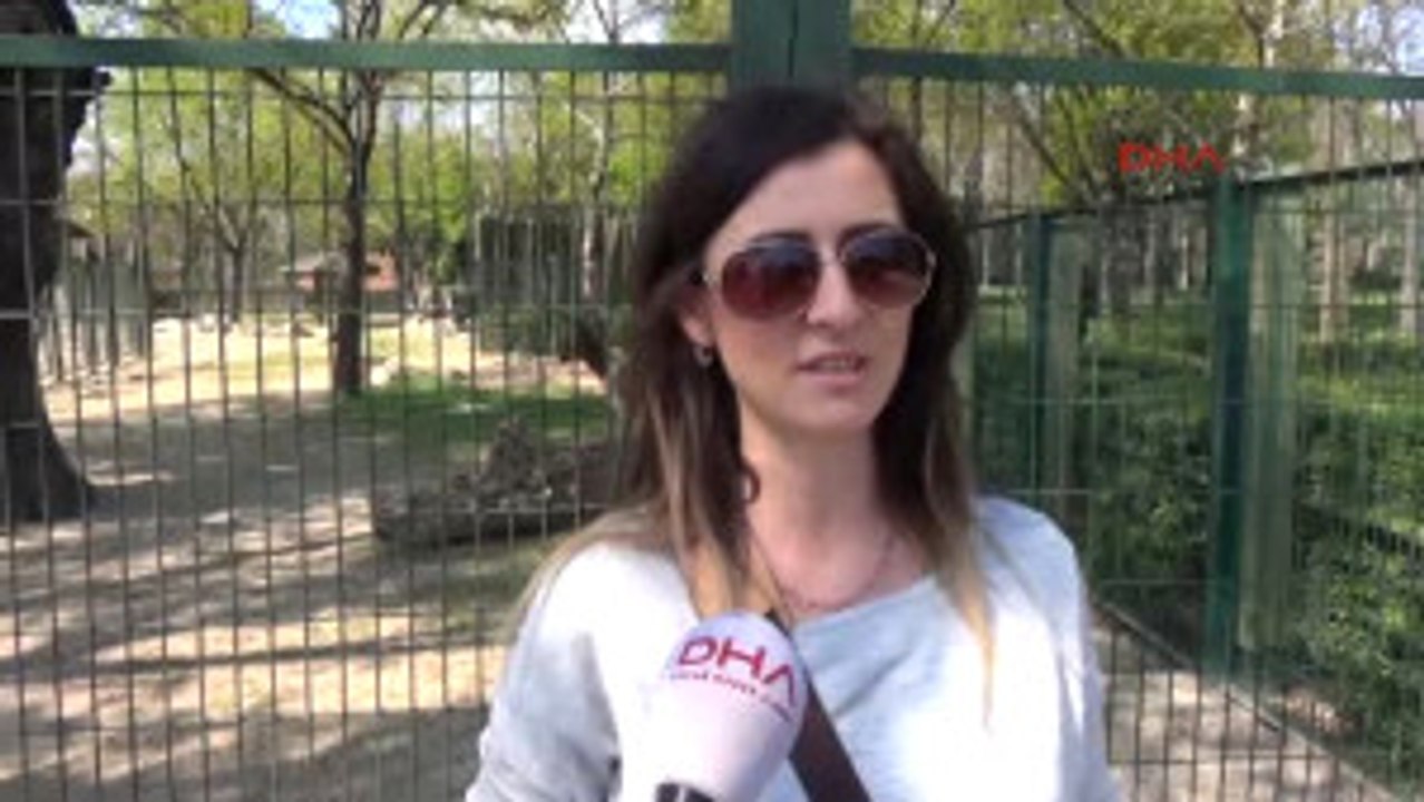 Bursa Hayvanat Bahçesi Yavrularla Şenlendi