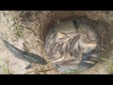 Amazing Deep Hole Fishing - How to fishing with deep hole - Cambodia Traditional Fishing