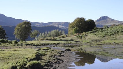 Tourbières > 5. Les bénéfices que les hommes tirent de ces écosystèmes