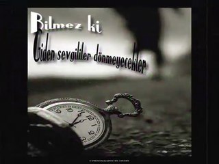 Cok yonlu bir sanatci