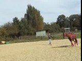 Echauffement trot, transitions