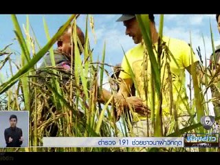 infos TV National Thaï - Action solidarité - [ participation de Franky Joe Texier ]
