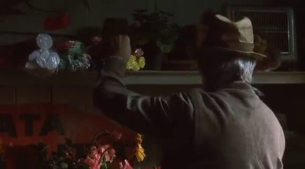 Pane e tulipani - Film di Silvio Soldini