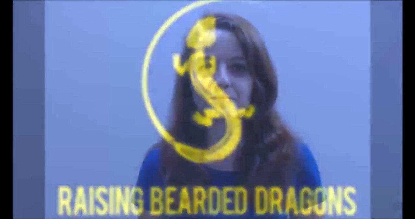 Baby Bearded Dragon Care - 5 Tips To Caring For Your Baby Bearded Dragon