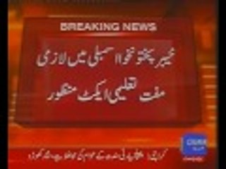 KP Assembly Passes Free and Compulsory Education Bill