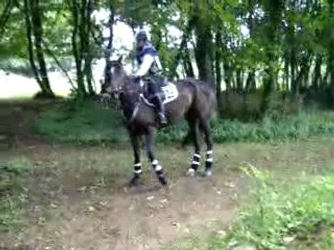 cheval qui fait un petit refus au gué