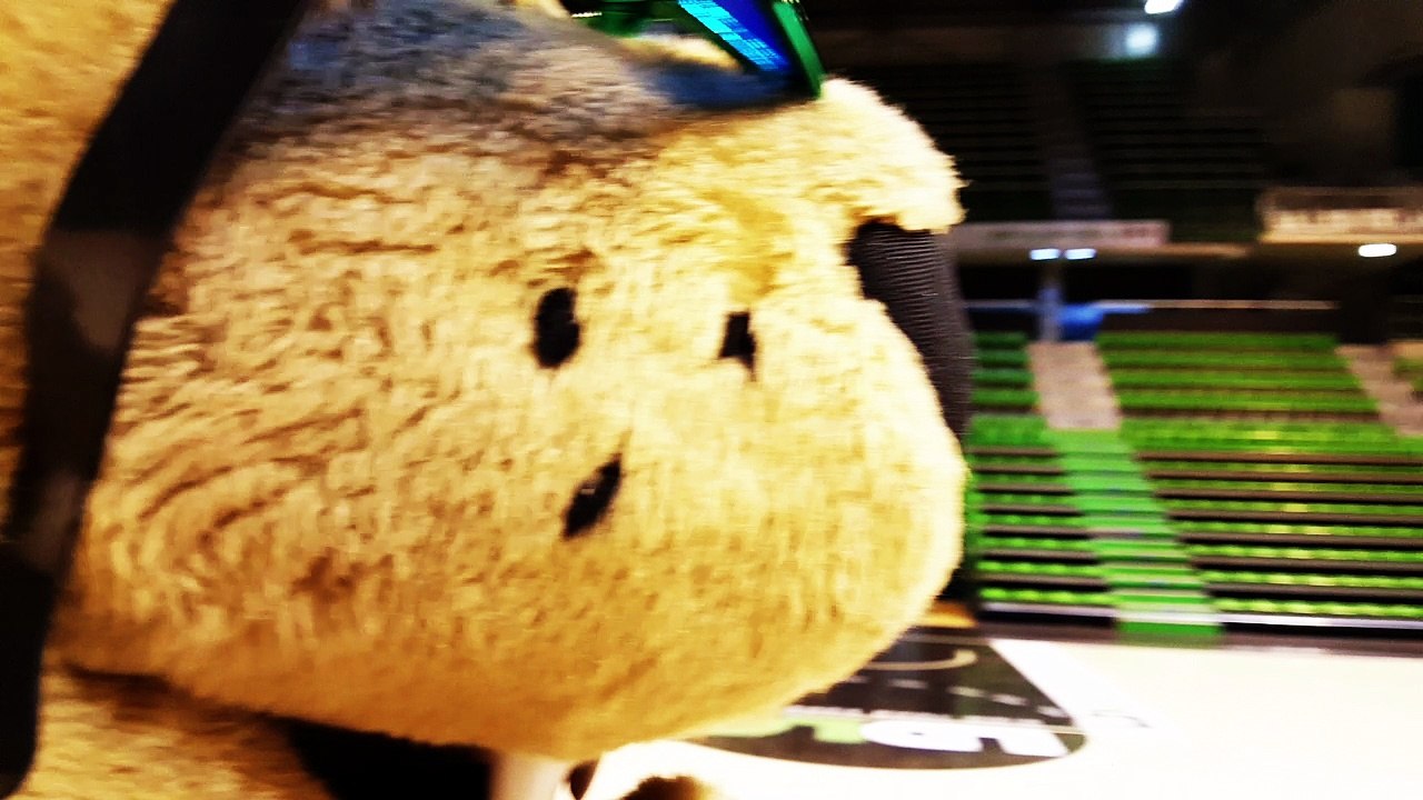 KINGO se prépare avant un match rock 'n' roll !