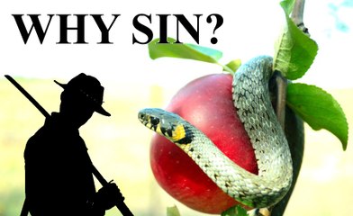 Top Question About The Bible: Why Did God Allow Sin and Meaning of Easter ✝