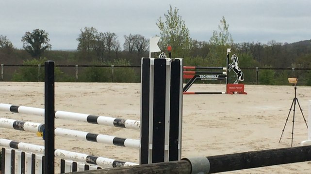 Concours d'obstacles au Haras national du Pin