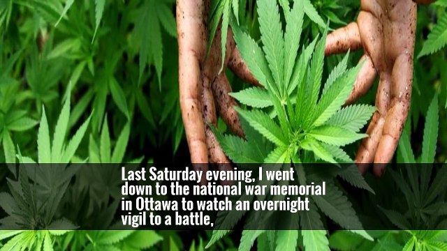 Canada Today: Commemoration, Dining Tips and Marijuana