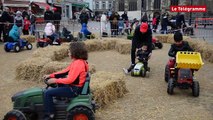 Saint-Brieuc. Une mini-ferme en ville